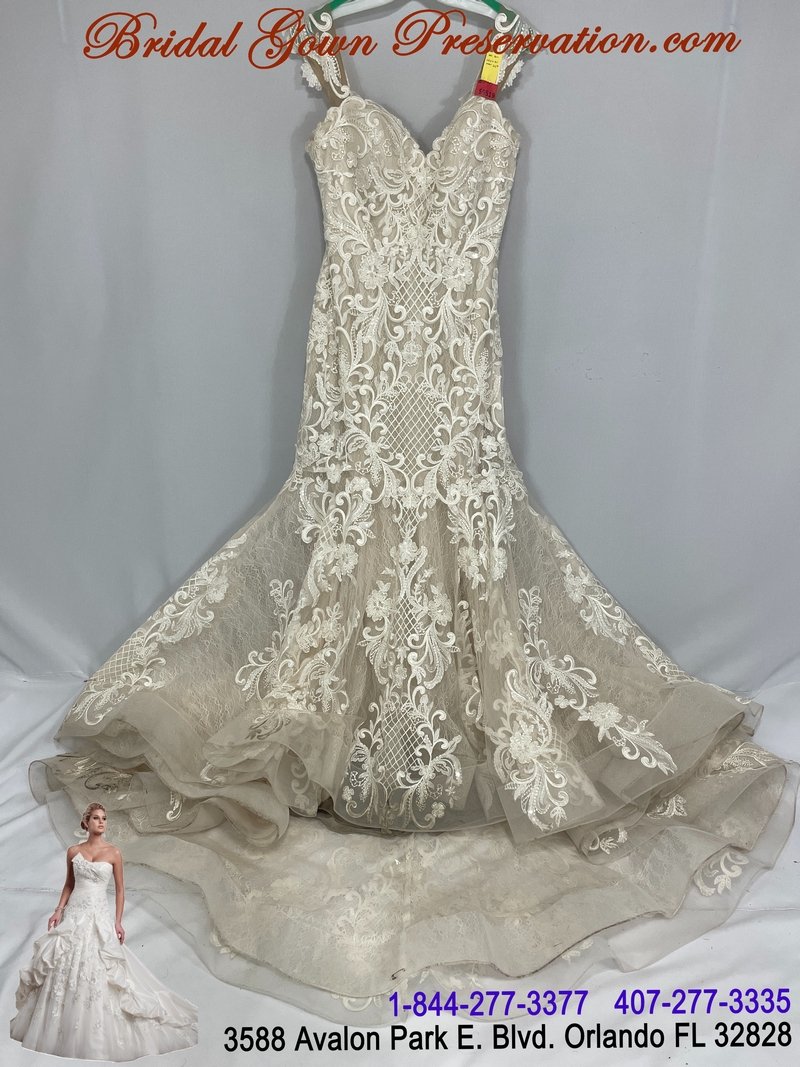 Wedding Gown Cleaning, Preservation, Restoration 59519