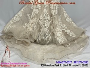 Wedding Gown Cleaning, Preservation, Restoration 59519