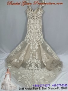 Wedding Gown Cleaning, Preservation, Restoration 59519